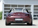BMW Z4 by Rieger 2010 года